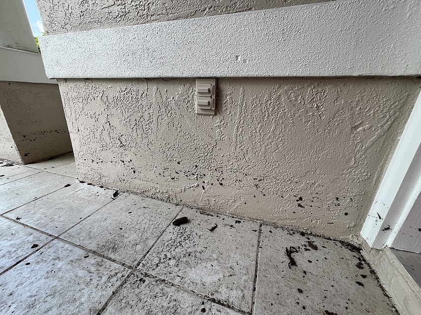 A line of dirt shows how high the water was on the front porch of Angela Abrams' home in Summerfield Bluffs.