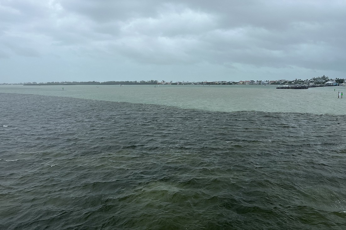 This photo from the upper bay shows dark stormwater runoff mixing with more saline water from the Gulf of Mexico.