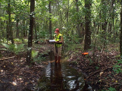 Verdantas Stream Assessment