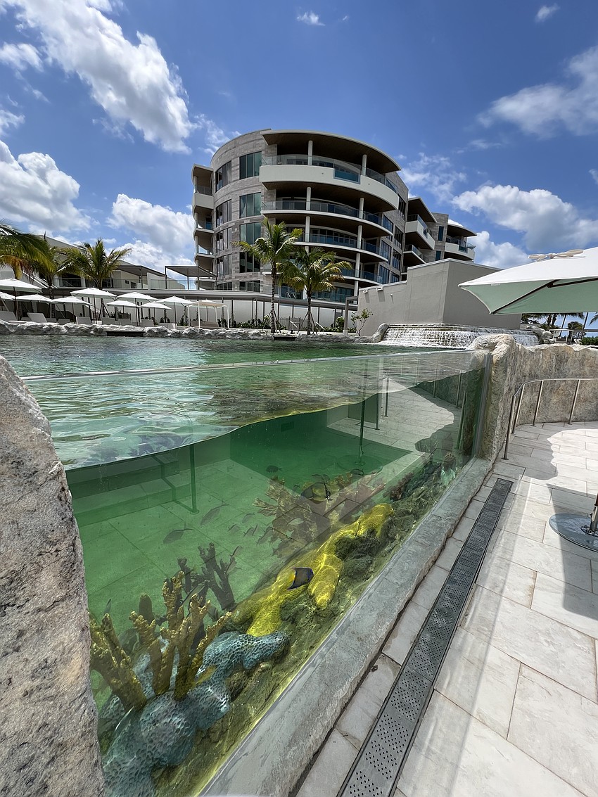 The 350,000 gallon saltwater lagoon is a unique feature that will be a hotspot for guest experiences.