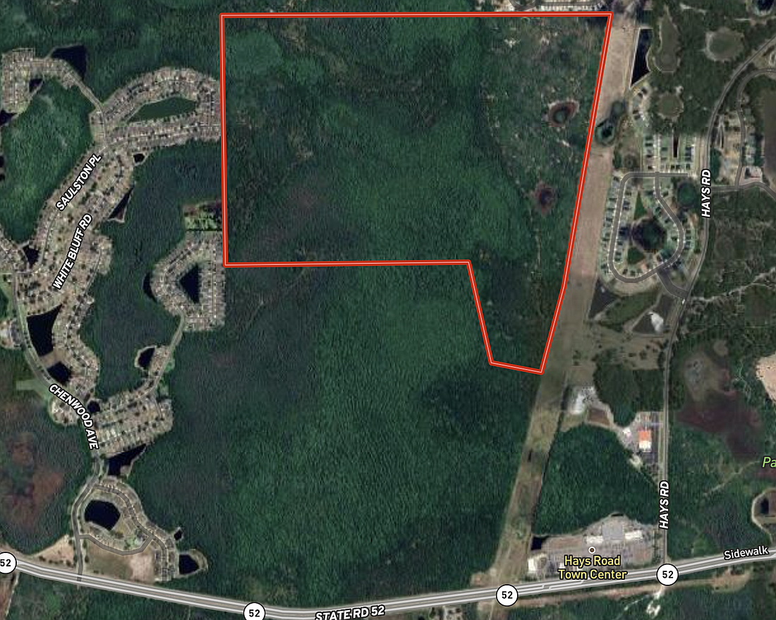 A California homebuilder plans about 255 homes in Pasco County.