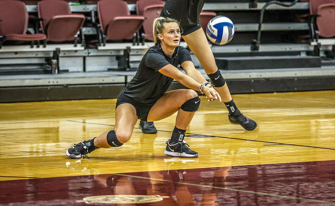 Former Cardinal Mooney High volleyball player Skye Ekes transferred to Mercer University after three seasons at Florida State University.