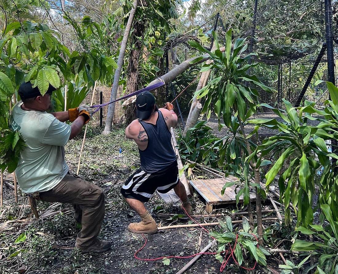 Volunteers clear debris from Wonder Gardens after Hurricane Ian.