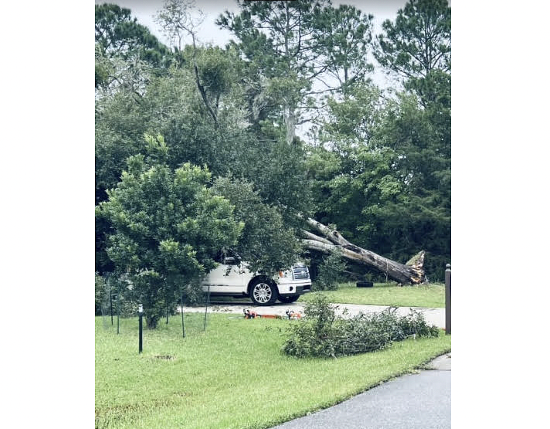 A tree in Sellman Court fell on someone's home overnight. Courtesy of Flagler County