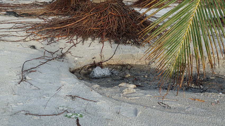 Water leaks in some parts of the island need to be addressed.