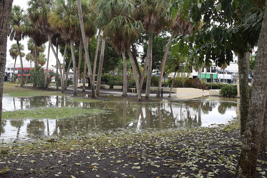 Flooding in St. Armands Circle Park after Hurricane Helene.