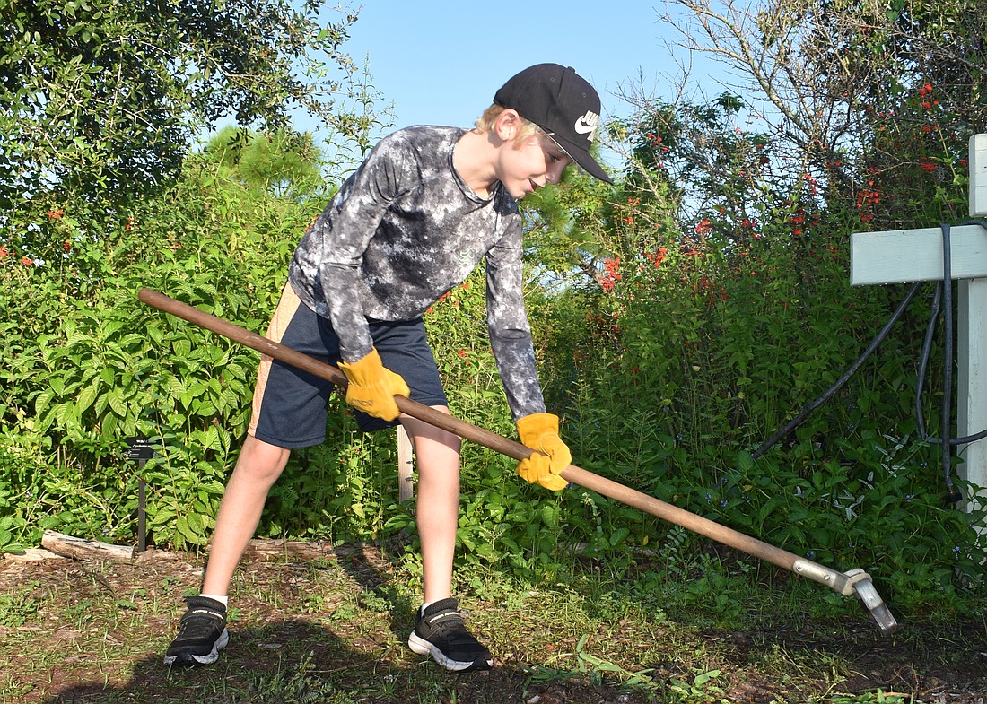 Wyatt Preissler, 8, helps with the weed removal on Sept. 21.