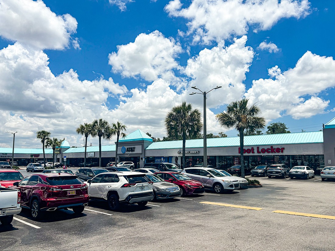 Fowler Plaza South shopping center in Tampa.