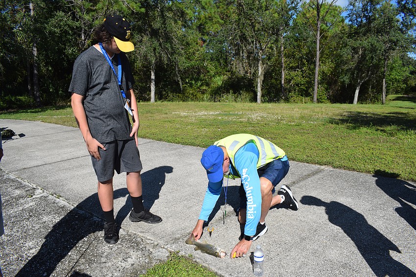 Lakewood Ranch's Kevin Anderson patiently waits as volunteer Chris Armstrong measures Anderson's fish.