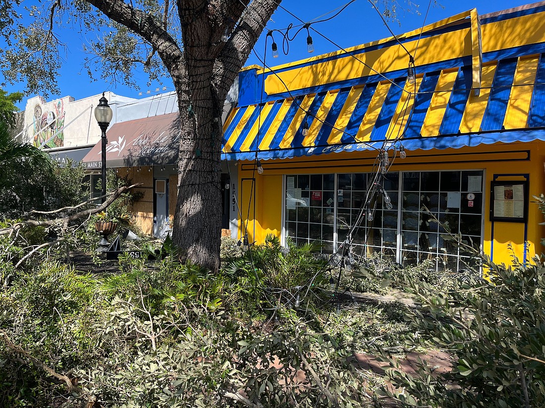 Main Street in Sarasota at noon Oct. 10.