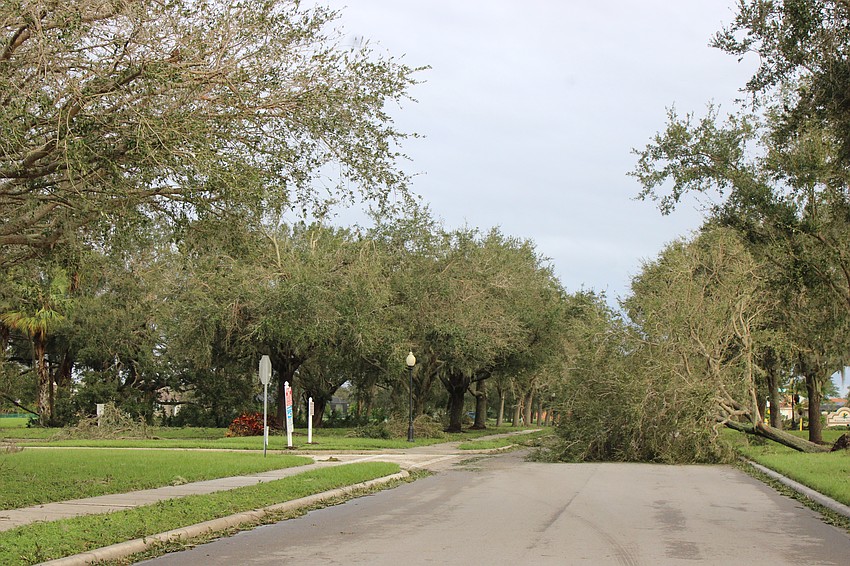 It was the same all over East County, trees blocking the roadway following Hurricane Milton.