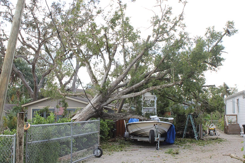 In order to take the boat out, they will have to go out on a limb. Hurricane Milton did damage on 71st Avenue Drive East.