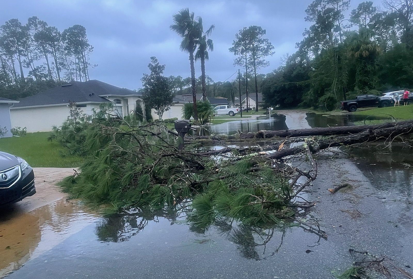 More than 50,000 still without power in Flagler, after Hurricane Milton