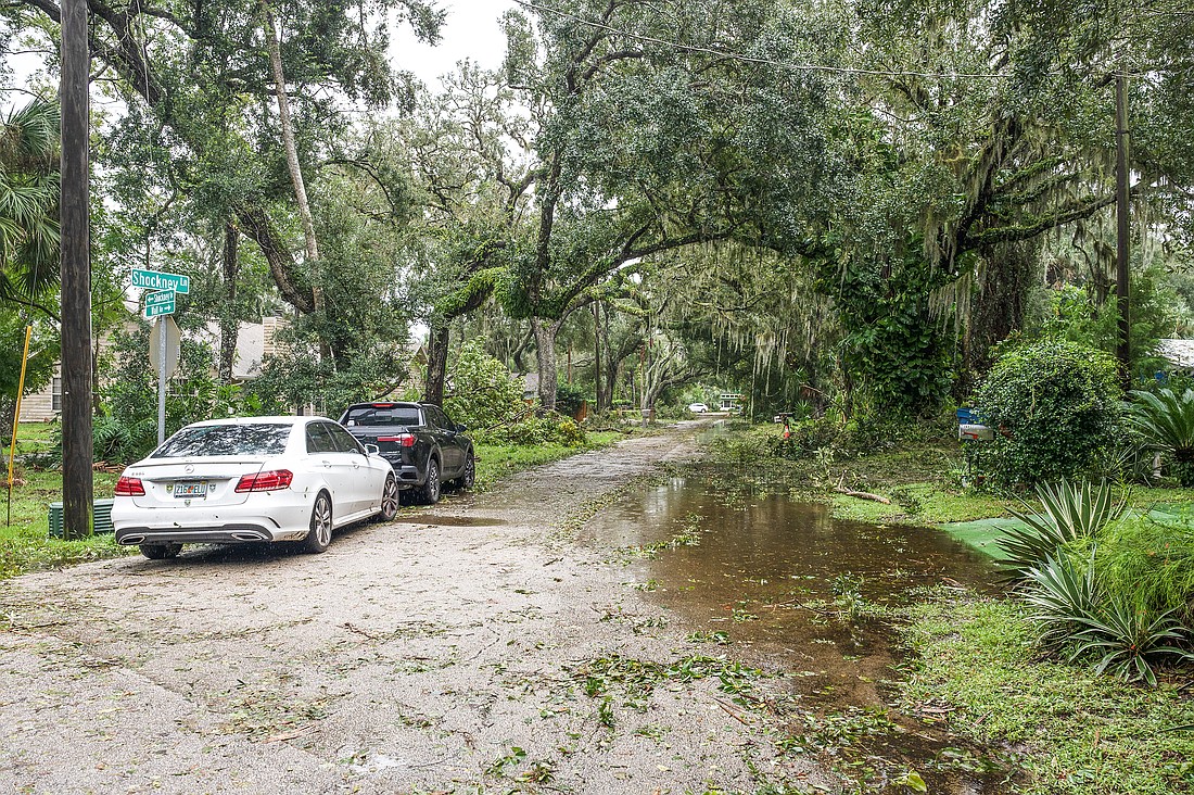 Hurricane Milton left Tomoka Estates in Ormond Beach covered in fallen trees, broken limbs and areas of flooding. Photo by Michele Meyers