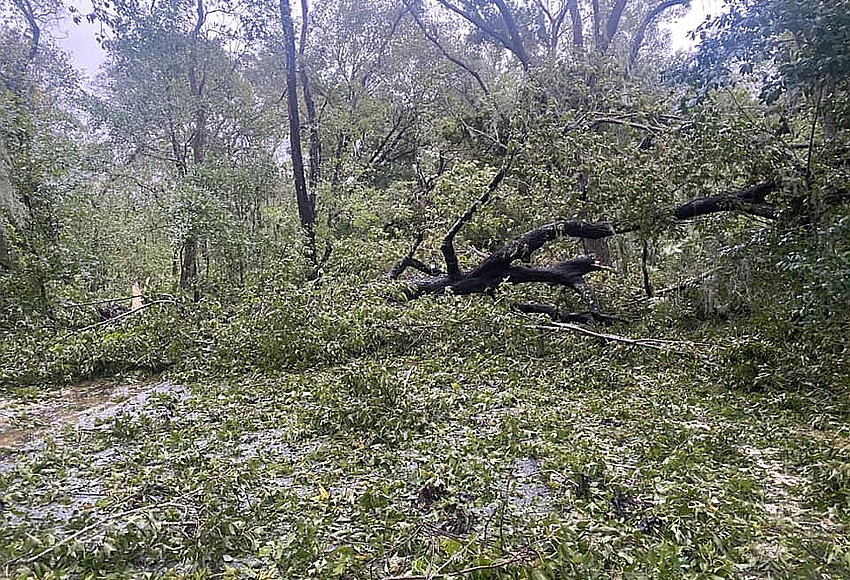 County opens residential debris drop-off sites, begins curbside debris removal