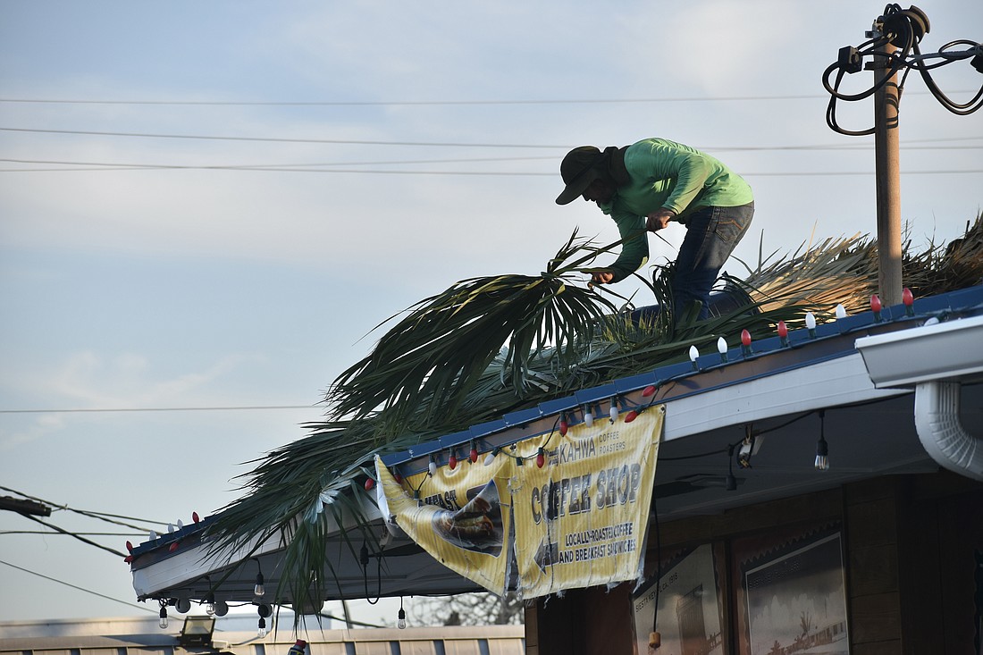 A worker helps repair the thatch roof of Captain Curt's Crab & Oyster Bar.