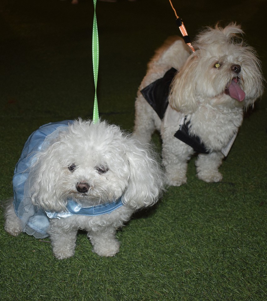 Sarasota's Kami, or Cinderella, attends Barks and Boos with her prince, Bear.