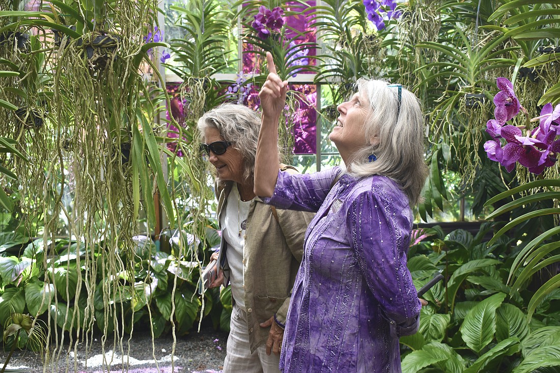 Judy Petersen and Nancy Zwolinski enjoyed the chance to visit the orchid show on Oct. 17.