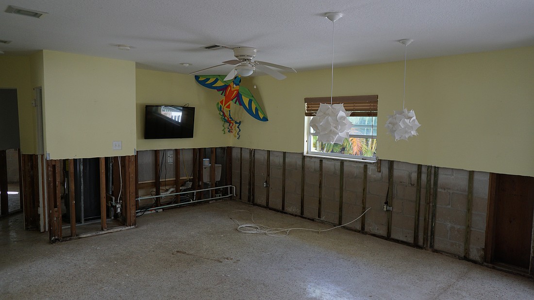 Ripped-up drywall in Carolyn Wedekind's house shows how high the water rose during Hurricane Helene's storm surge.