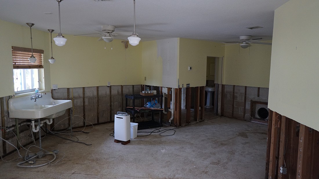 Ripped-up drywall in Carolyn Wedekind's house shows how high the water rose during Hurricane Helene's storm surge.