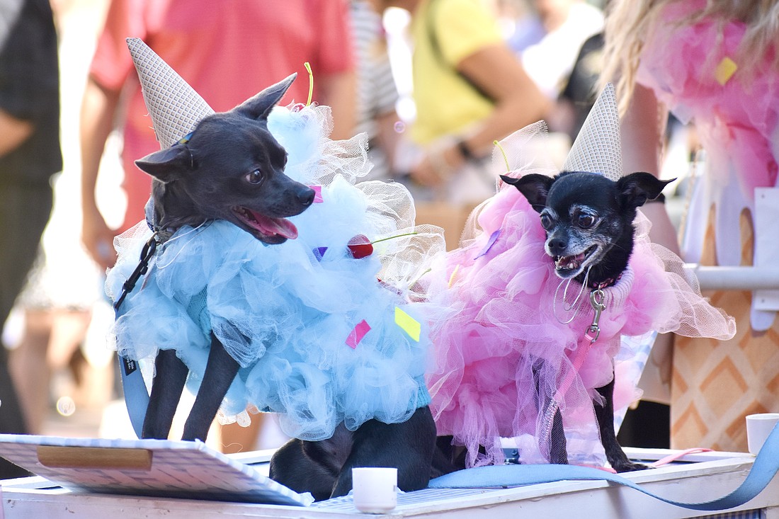 Pepper and Buster came dressed as ice cream cones.