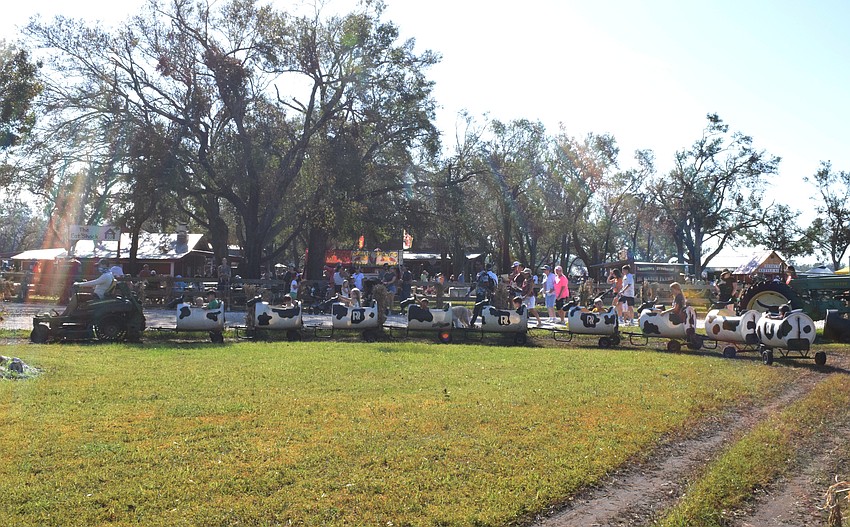 The train is one of the most popular attractions at the Hunsader Farms Pumpkin Festival.