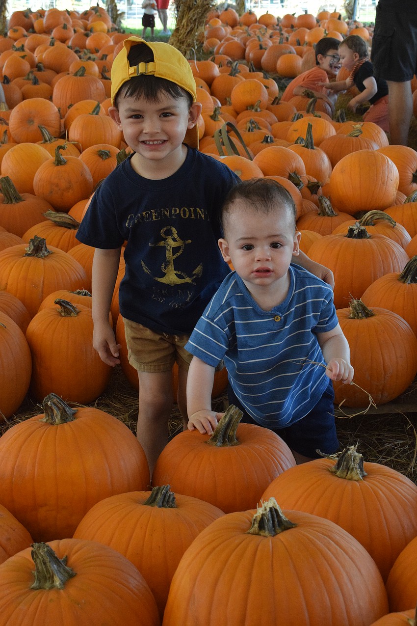 St. Petersburg 3-year-old Dylan Craig and his 1-year-old brother Jack Craig search for the perfect pumpkin. Jack Craig is celebrating his first birthday at Hunsader Farms.