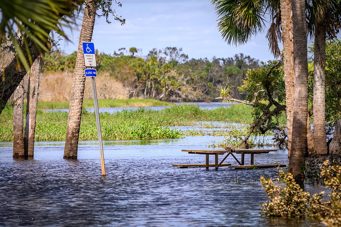 Though Myakka’s ecosystems adapted to seasonal flooding, increased threats of pollutant runoff from outside the park is concerning.