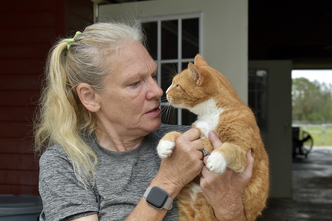 Cindy McCollough, founder of TANKS, Inc., has a one-on-one with Marmalade. It can take months to build trust with some of the rescues. Others will never let a human handle them.