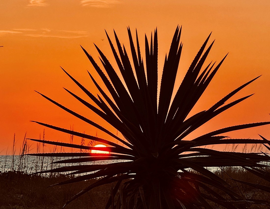 Gail J. Weiser captured this photo of a beautiful sunset from Isles Beach on Longboat Key.