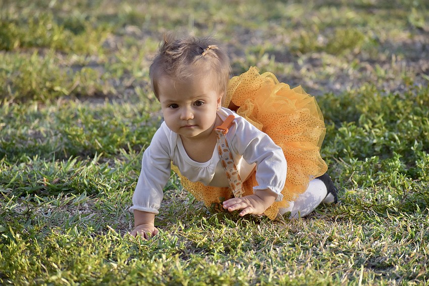 11-month-old Michelle Thompson crawls across the Ringling lawn.