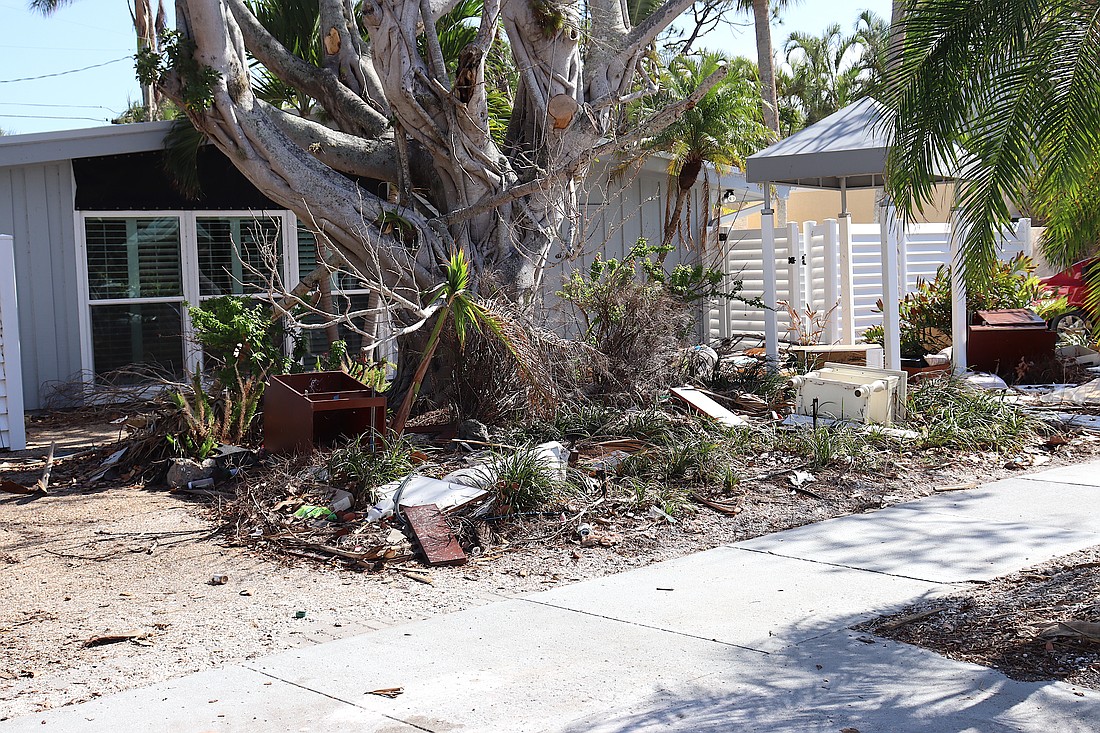 Destroyed landscape outside a home on North Washington Drive on St. Armands.