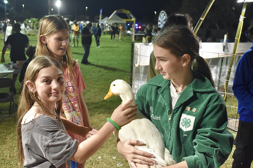 Sixth graders Ally Shields and Emily Selfridge meet a goose with the help of seventh grader and 4-H student Raelynn Bontrager.