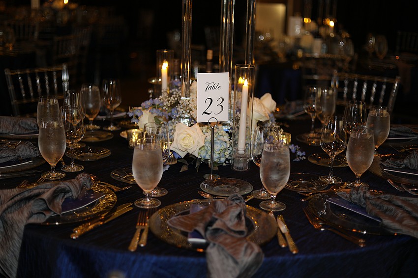 Safe Place and Rape Crisis Center (SPARCC) held its 45th Sapphire Anniversary at Selby Botanical Gardens on Nov. 16 for 240 guests.