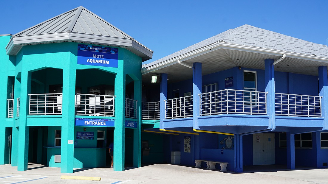 Mote Marine Laboratory & Aquarium opened the aquarium to the public on Nov. 22 after eight weeks of closure following Hurricanes Helene and Milton.