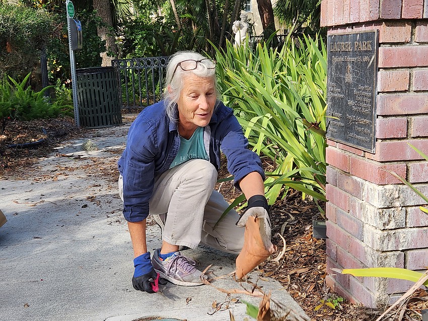Laurel Park cleanup organizer Jolie McInnis clears and tosses some debris to the side on Saturday, Nov. 30. McInnis and other residents volunteered their time to clean up the park and decorate the Christmas tree.