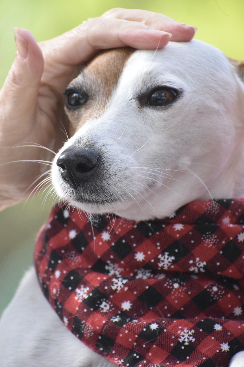 Debra Sandberg, past board president of Unity, pets Wendy Clutter's dog Elly.