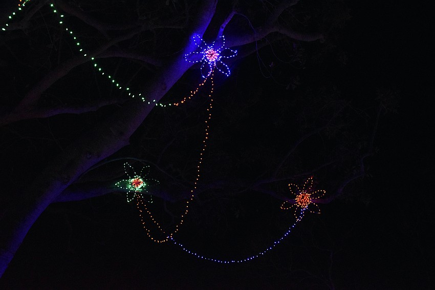 The lights and decorations incorporate a botanical theme.