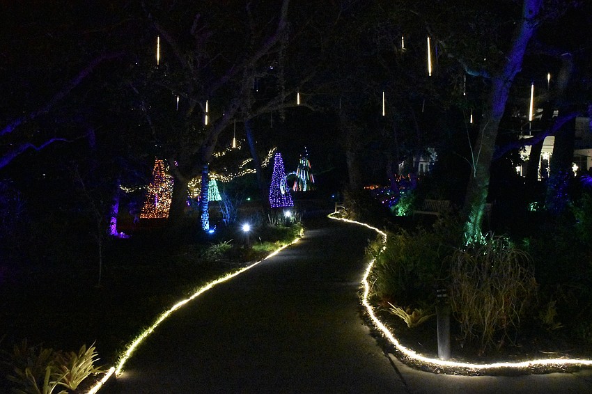 The Downtown Sarasota Campus of Selby Gardens is decked with lights.