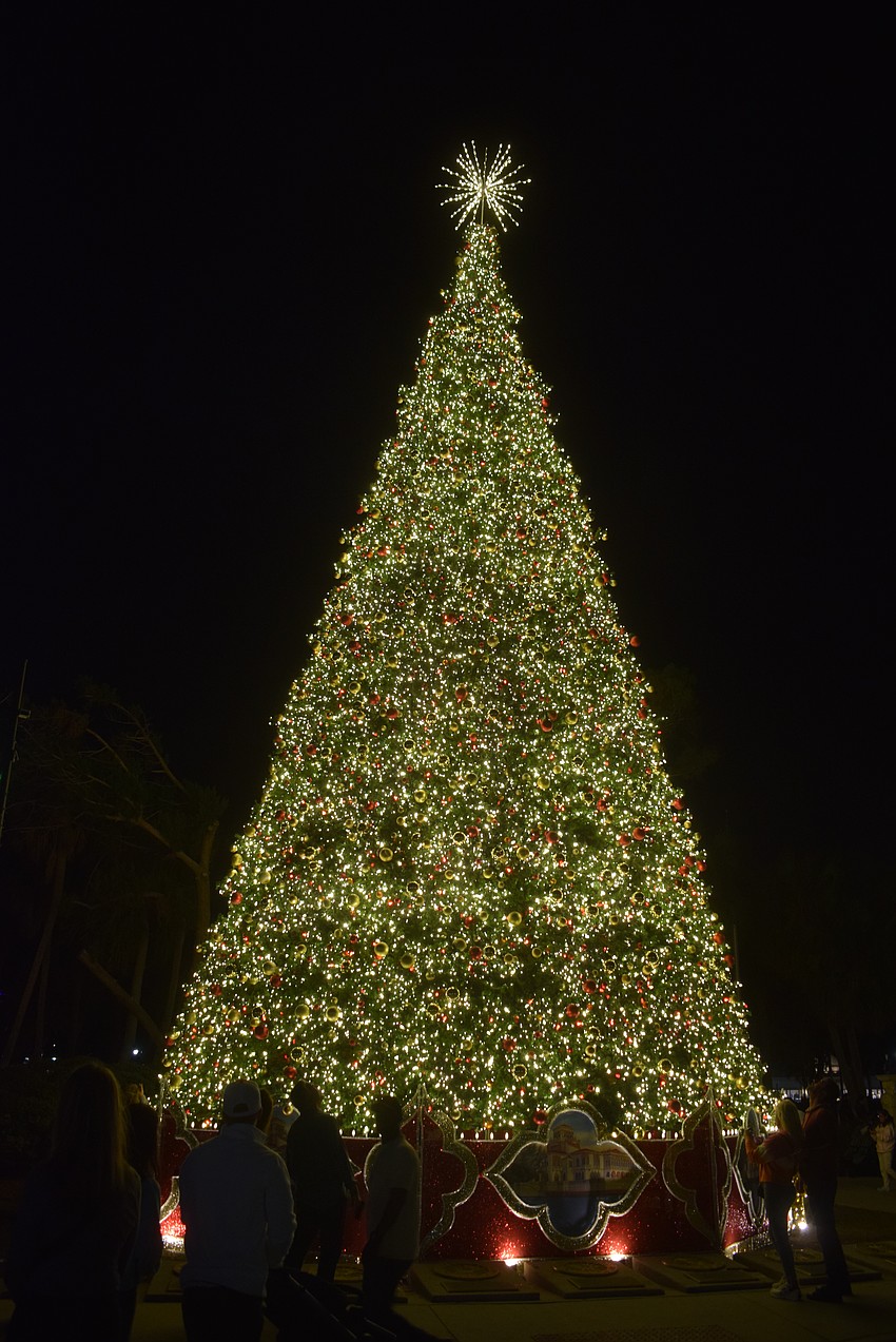 St. Armands Circle Association lit a 60-foot Christmas tree at Holiday Night of Lights.