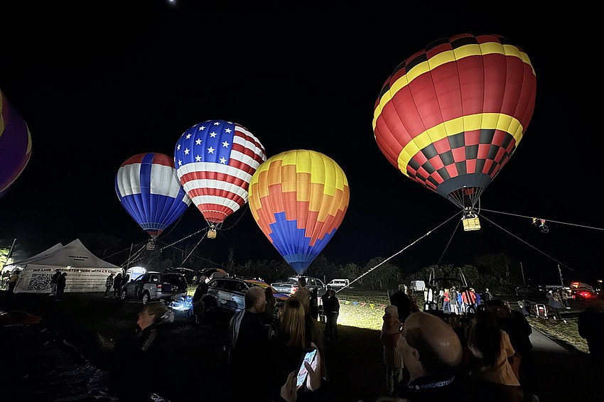 Various hot air balloons fill the event space.