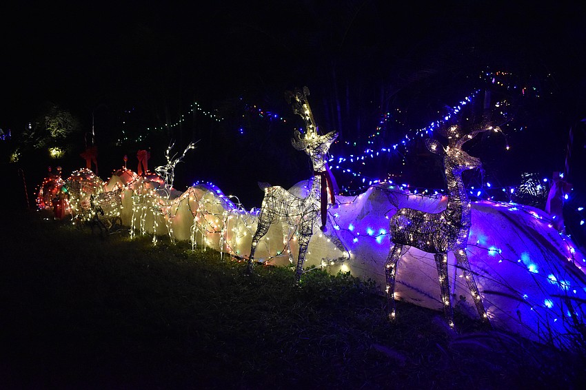 Reindeer decorate the yard of 2300 Grove St.
