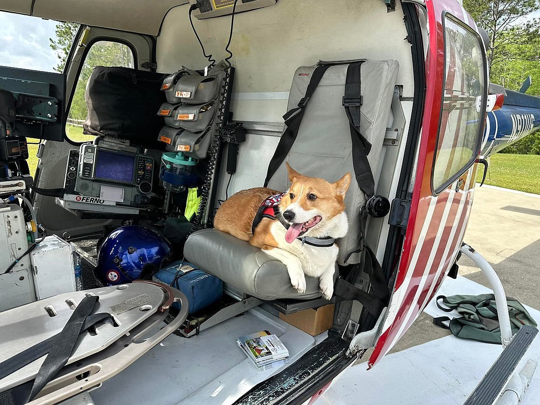 Taco aboard FireFlight. Courtesy photo