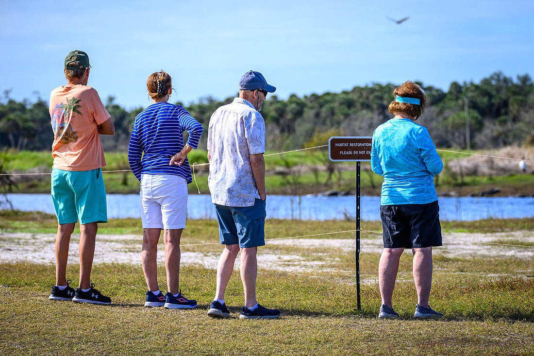 Myakka’s wildlife respond favorably to the habitat restoration zone, which prevents human disturbances and improves their habitats.