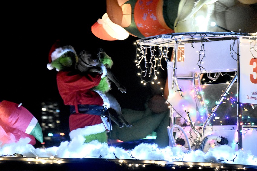 Trevor Britz and his dog Kai wave to viewers from 