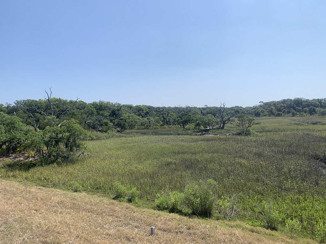 The Thornton family of Amelia Island donated 396 acres to the North Florida Land Trust. The land is adjacent to Fort Clinch State Park.