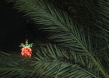 Thousands are expected for the annual New Year's Eve Pineapple Drop Celebration.