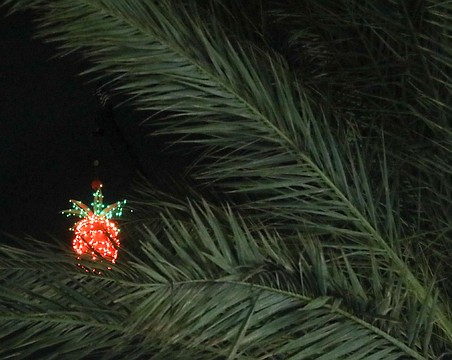 Thousands are expected for the annual New Year's Eve Pineapple Drop Celebration.