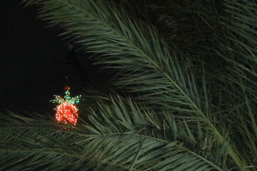 The 25th Annual New Year's Eve Pineapple Drop Celebration was  held in Sarasota on Dec. 31st with about 30,000 people in attendance.