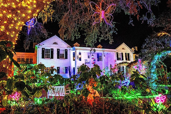 The Marie Selby Botanical Gardens is dressed up for its Lights in Bloom display.